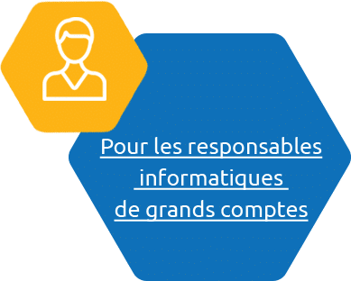 responsable responsable informatiques de grands comptes